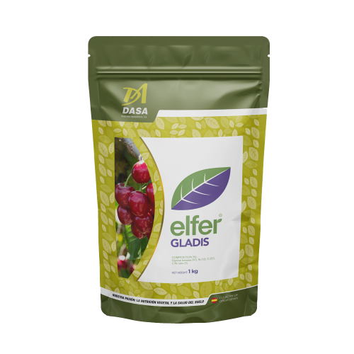 elfer® Gladis